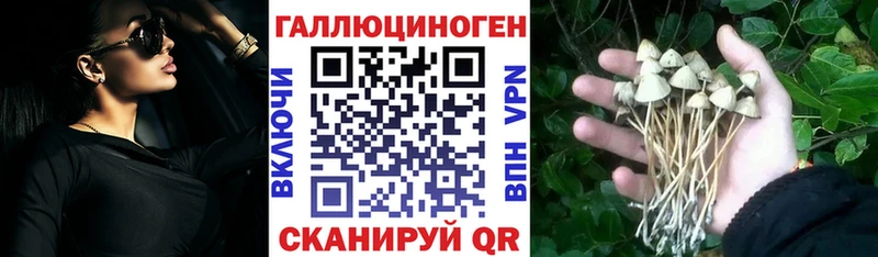 Галлюциногенные грибы мицелий  закладки  Петрозаводск 