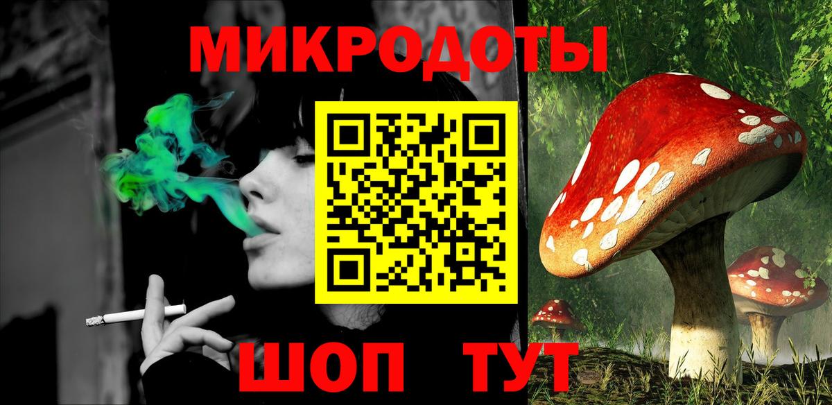 Псилоцибиновые грибы GOLDEN TEACHER Петрозаводск