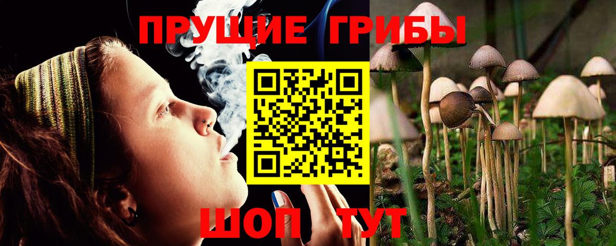 Петрозаводск  Псилоцибиновые грибы ЛСД  Вход с VPN 