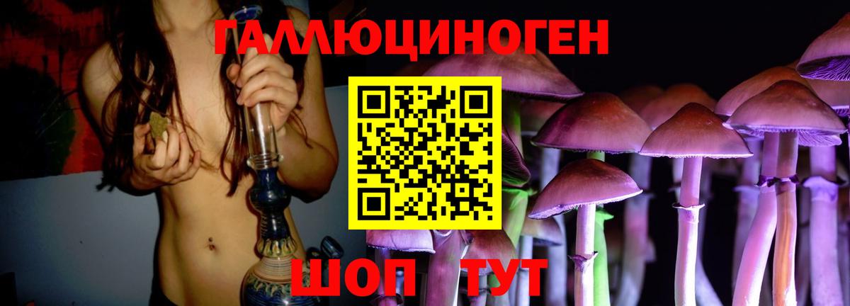 Галлюциногенные грибы Cubensis  Псилоцибиновые грибы мицелий  продажа наркотиков  Петрозаводск  Вход с VPN 